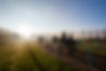 20240113-DSC_4920.jpg