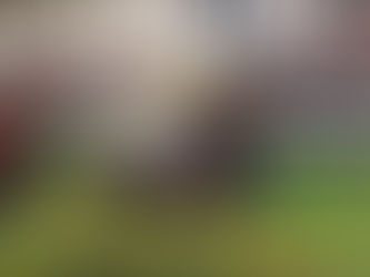 Prize Money Milestone