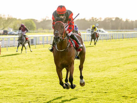 Upstart Crow Wins The First ARAB Race Of The Season