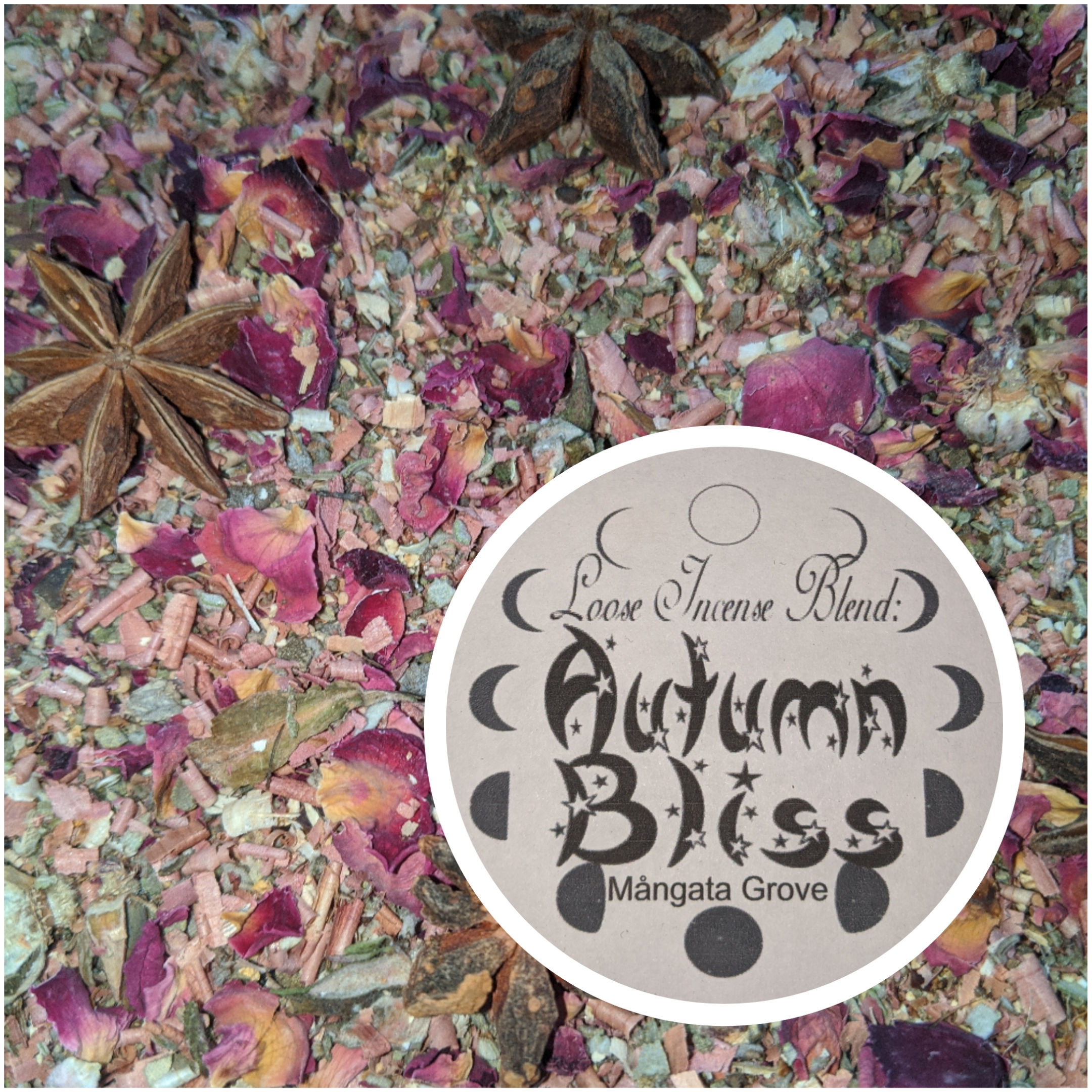 Autumn Bliss