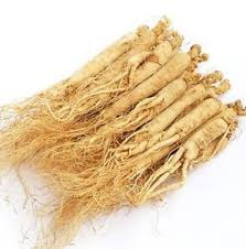 White Ginseng