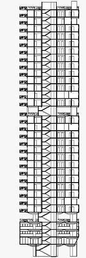 corte-longitudinal.png