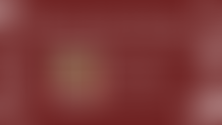 Maximize Your Marriage