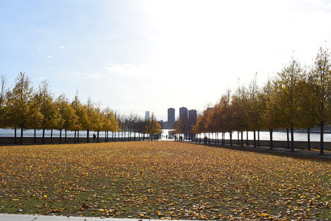 Mi Top 3 de lugares poco turísticos en NY