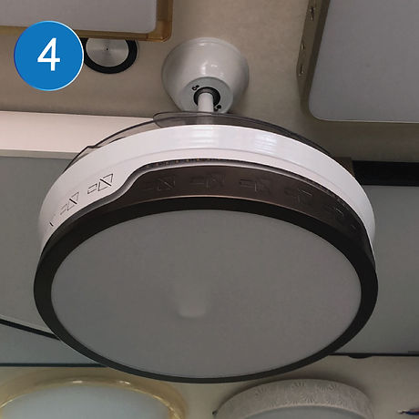Fan-12.jpg