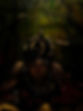 IMG_0535.jpeg