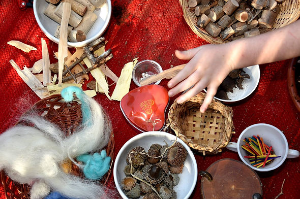 12168391_1664156483801470_539702628_o.jp