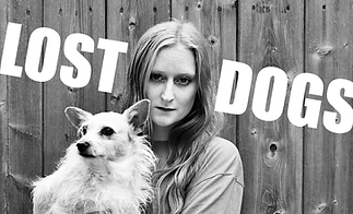 Lost Dogs