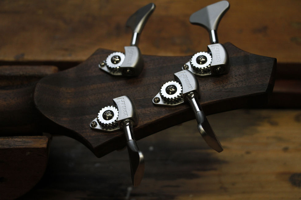 Miniature : Cairn Bass
