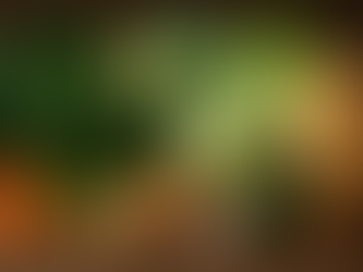 Alimentation et plantes pour soutenir l'équilibre de l'enfant... Et si nous devenions acteurs de leur santé ?