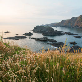 The Amazing Geology of Hartland Quay