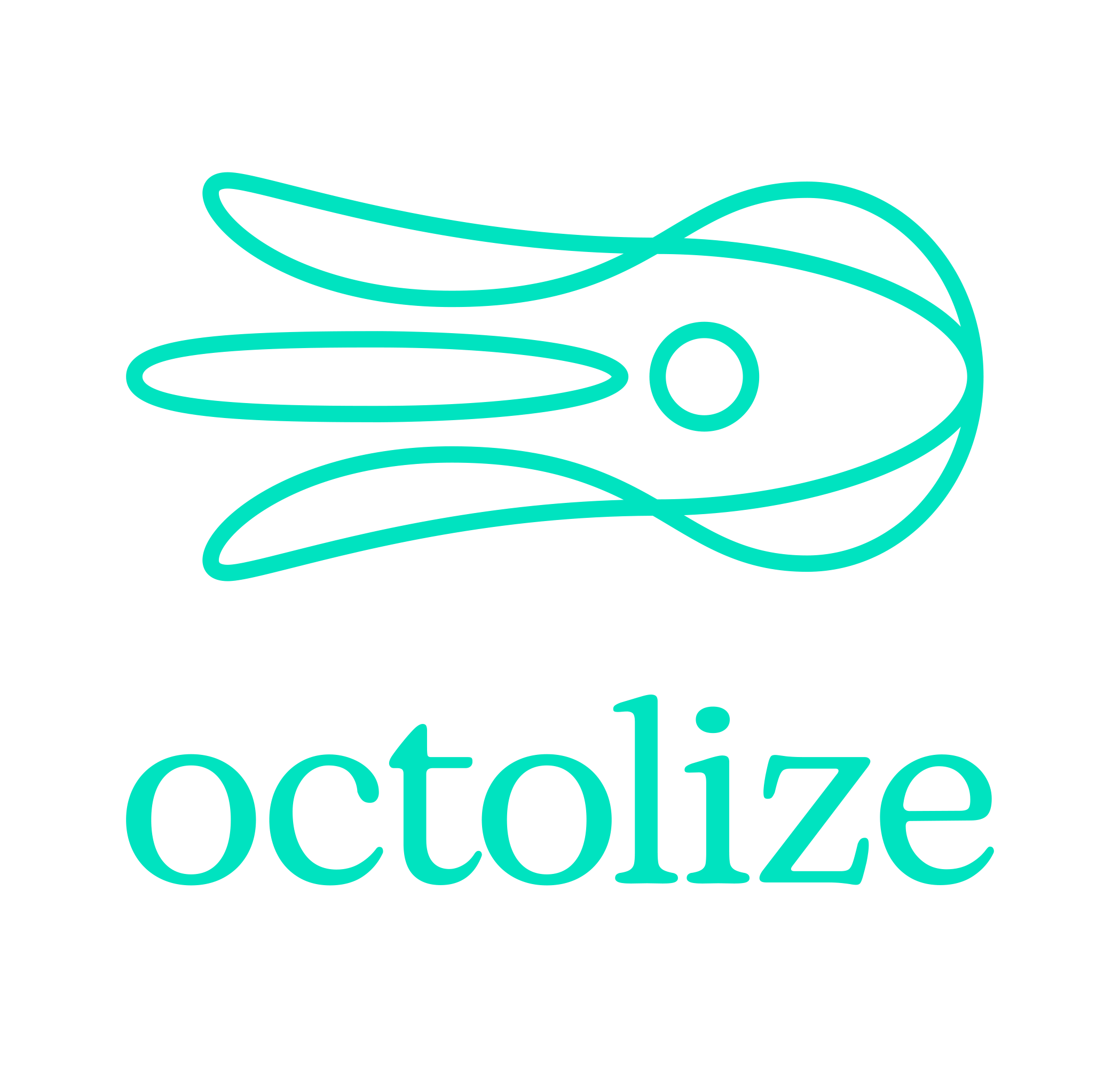 Octolize logo
