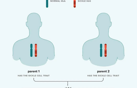 Screenshot 2025-10-29 at 1.26.53 PM.png