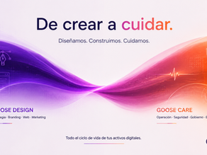 De crear a cuidar: la evolución de Goose
