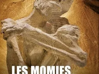 Nouvelles perspectives sur nos origines?