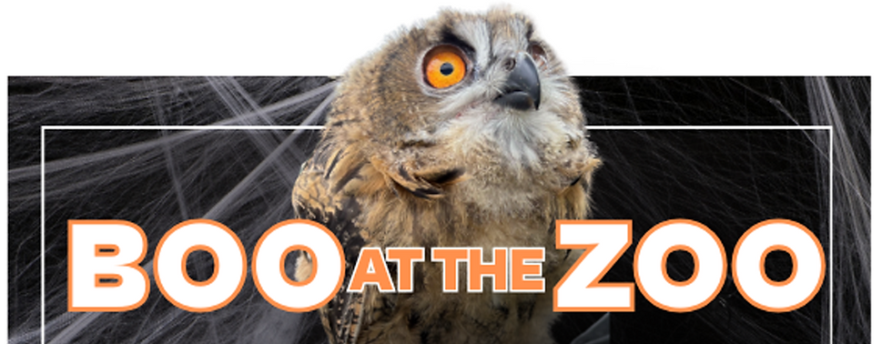 Boo at the Zoo - NOVA Wild