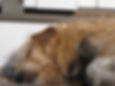 Napping