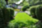 Writer's Garden