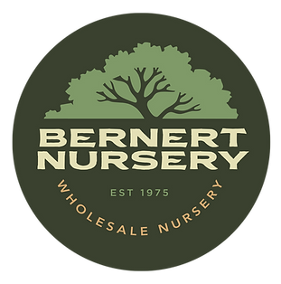 BNursery_Logo.png
