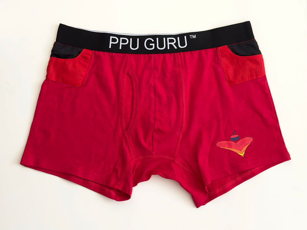 Thumbnail: Commander in Chief Briefs 2PK