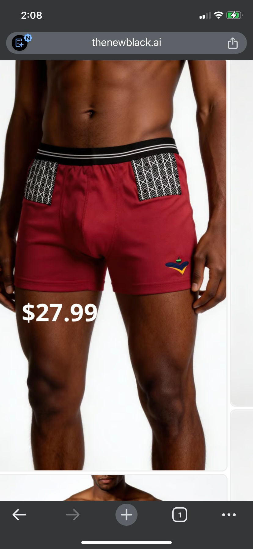 Thumbnail: Commander in Chief Briefs 2PK