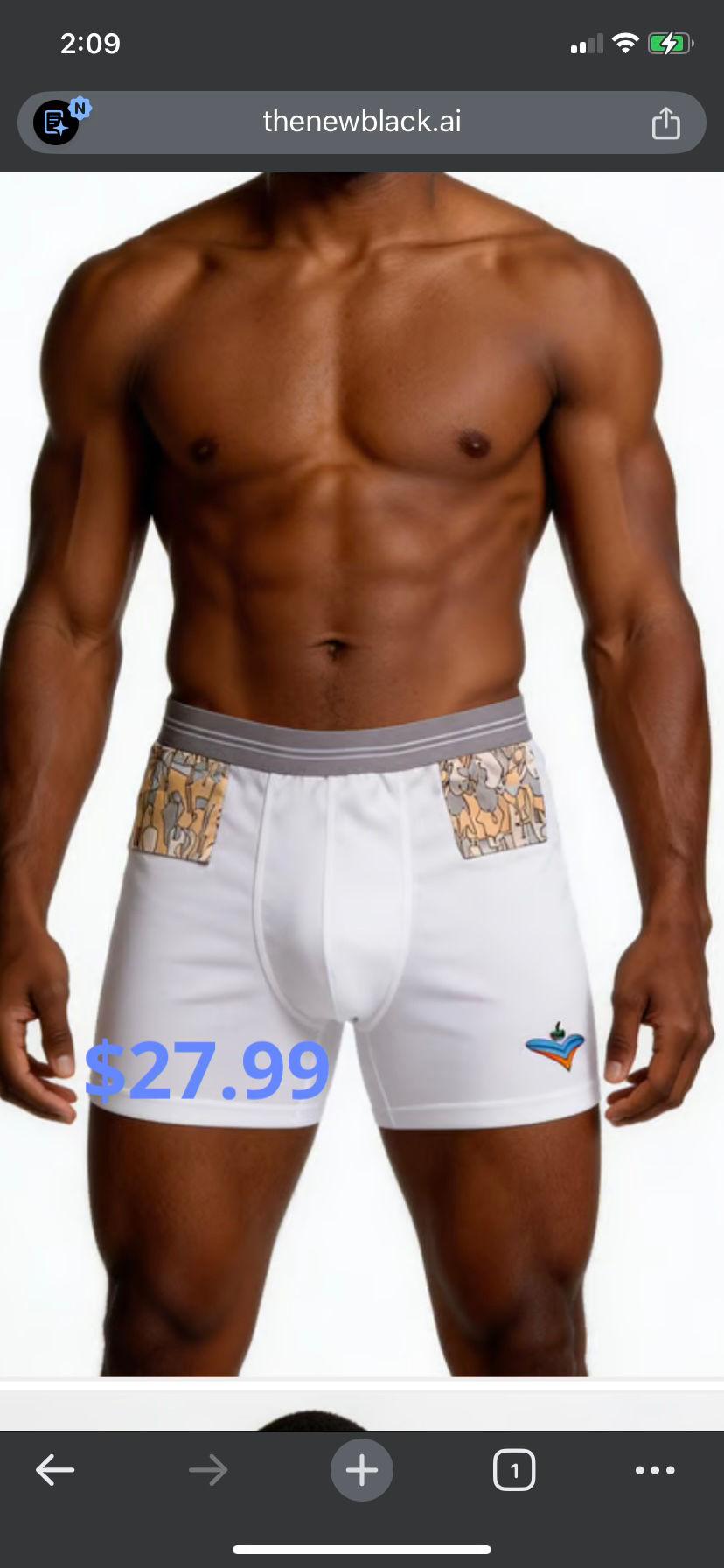 Thumbnail: Commander in Chief Briefs 2PK