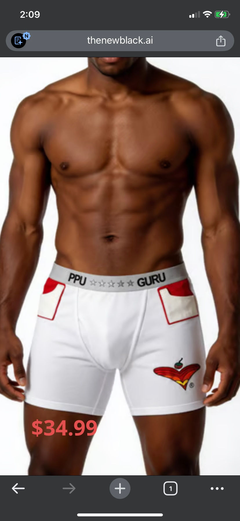 Thumbnail: Commander in Chief Briefs 2PK