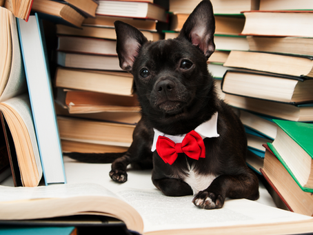 5 Books to Improve Your Sales Game in 2021