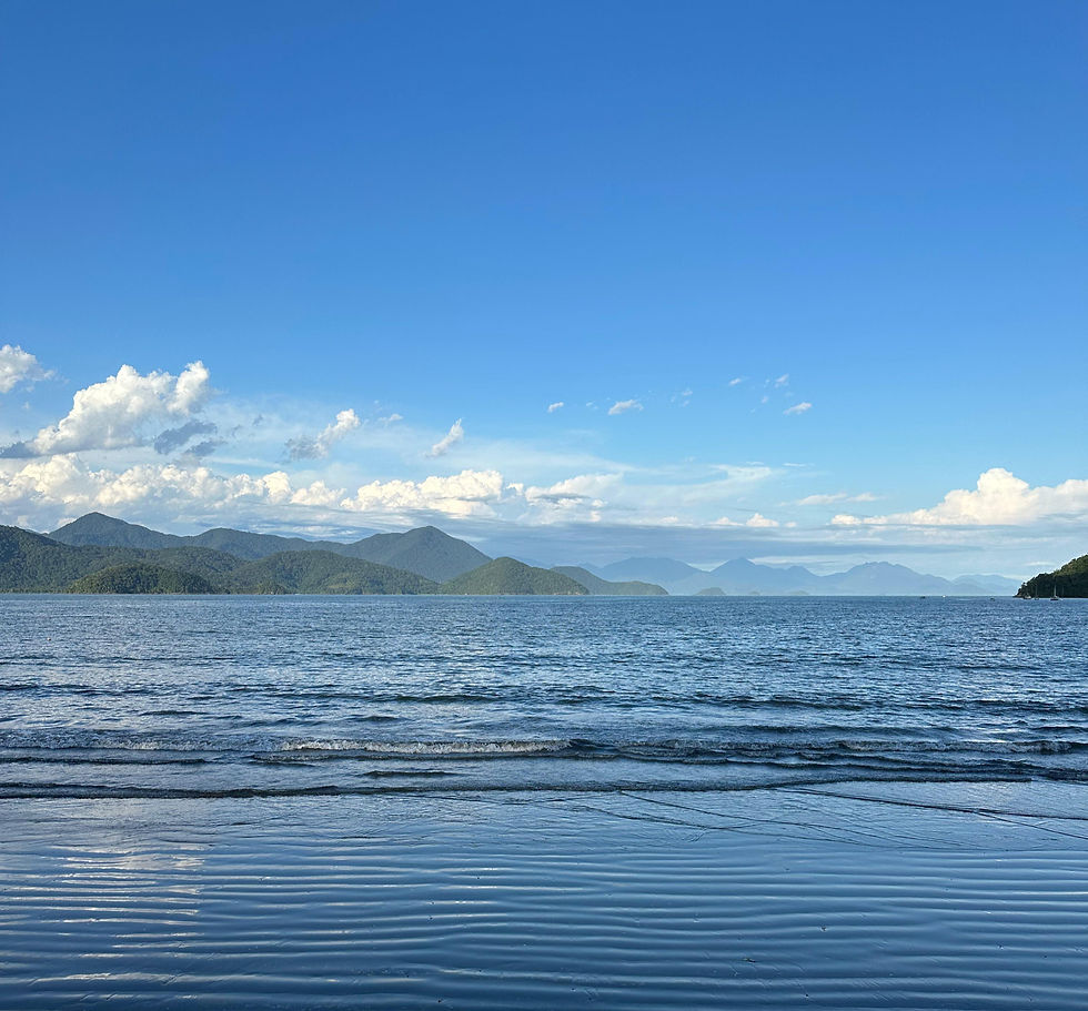 Foto: Nagalakshmi Devi | Orla da praia do Itaguá, Ubatuba, SP