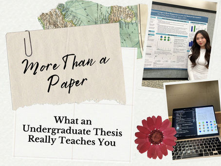 More Than a Paper: What an Undergraduate Thesis Really Teaches You