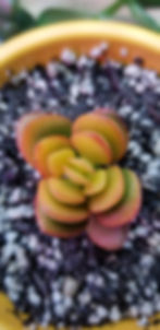 20180618_180706