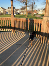 IMG_6727.jpeg