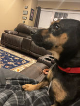 IMG_6689.jpeg