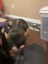 IMG_6661.jpeg