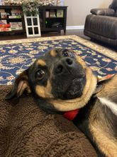 IMG_6702 (1).jpeg