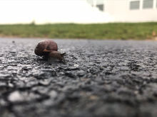 IMG_3369.jpeg