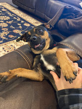IMG_6730 (1).jpeg