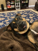 IMG_6707 (1).jpeg