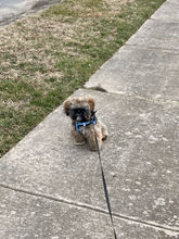 IMG_8860.jpeg
