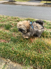 IMG_8325.jpeg