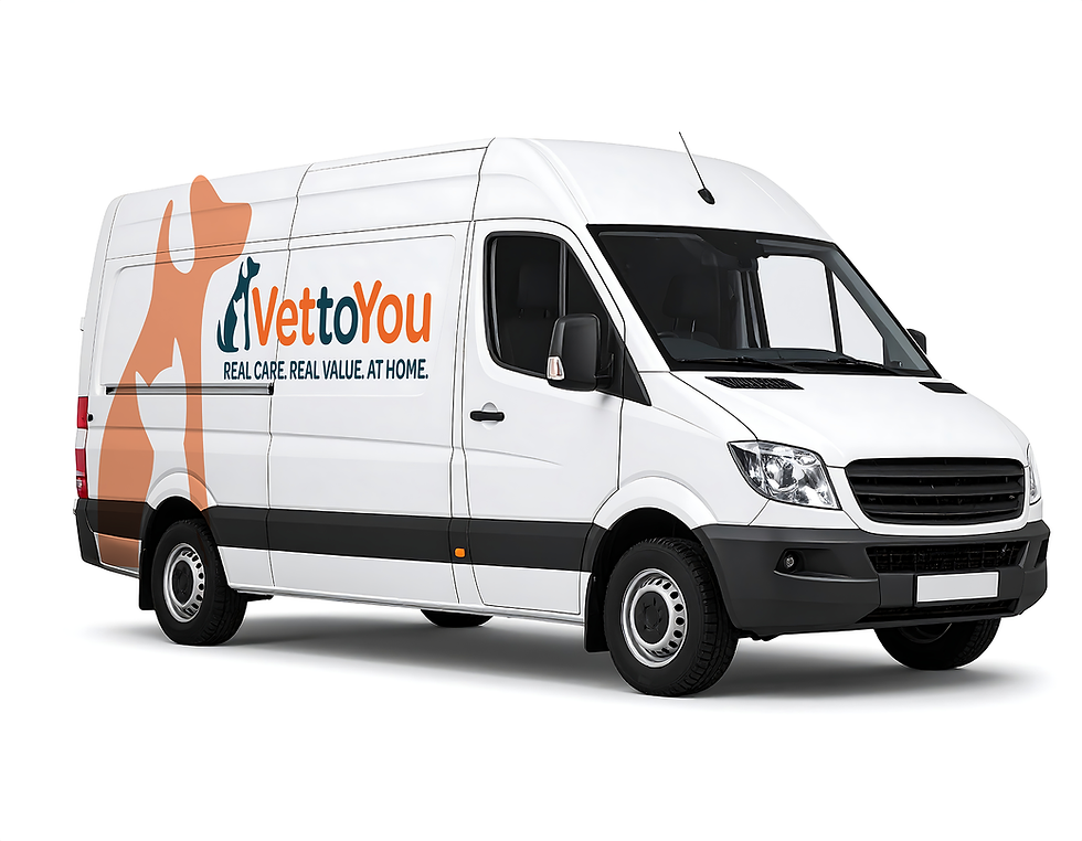 VET4YOU_VAN_AdobeStock_1724156159.png