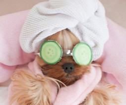 Little monsters logo (6)_edited_edited_edited.jpg