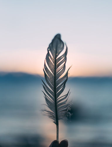 daiga-ellaby-h43VqtlnV7U-unsplash_edited