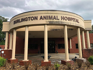 Burlington Animal Hospital