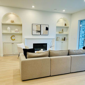 Modern Living Room Cabinetry