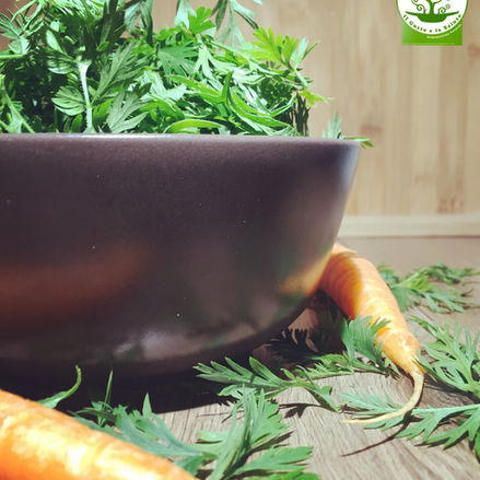 FOGLIE DI CAROTA? NON BUTTARLE, CONTENGONO UN FANTASTICO MIX DI NUTRIENTI UTILI AL NOSTRO CORPO.