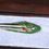 Thumbnail: Rose