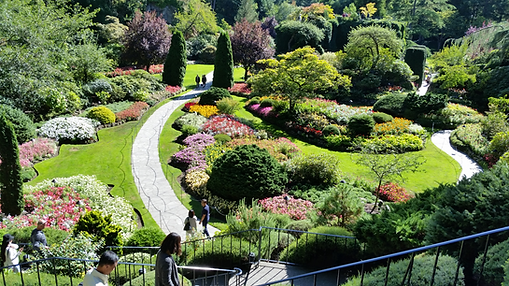 Crane Gardens, anonymous