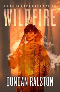 Wildfire ebook 2018.jpg