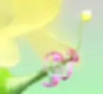Fragment of the “Luminiferous Floralambler” from the “Virtual Garden” series by Stepan Ryabchenkoц